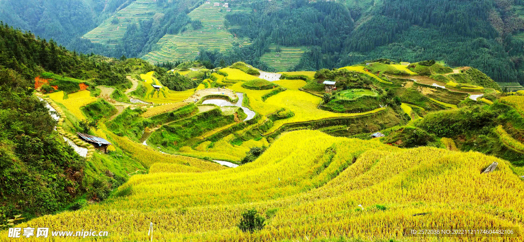 从江加榜梯田风光