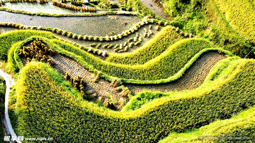 从江加榜梯田风光