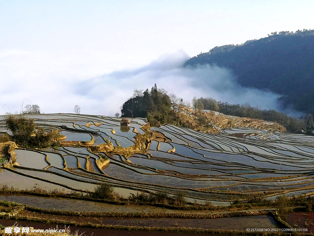 元阳哈尼梯田风光