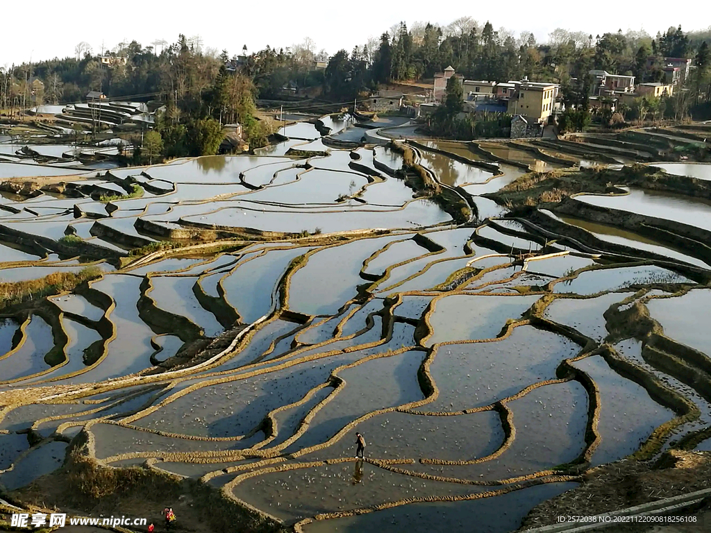 元阳哈尼梯田风光