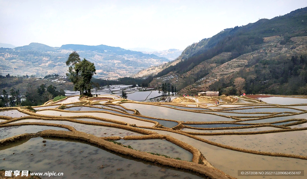 元阳哈尼梯田风光