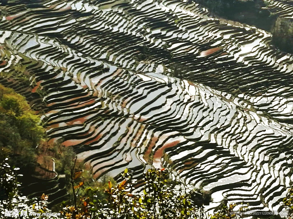 元阳哈尼梯田风光
