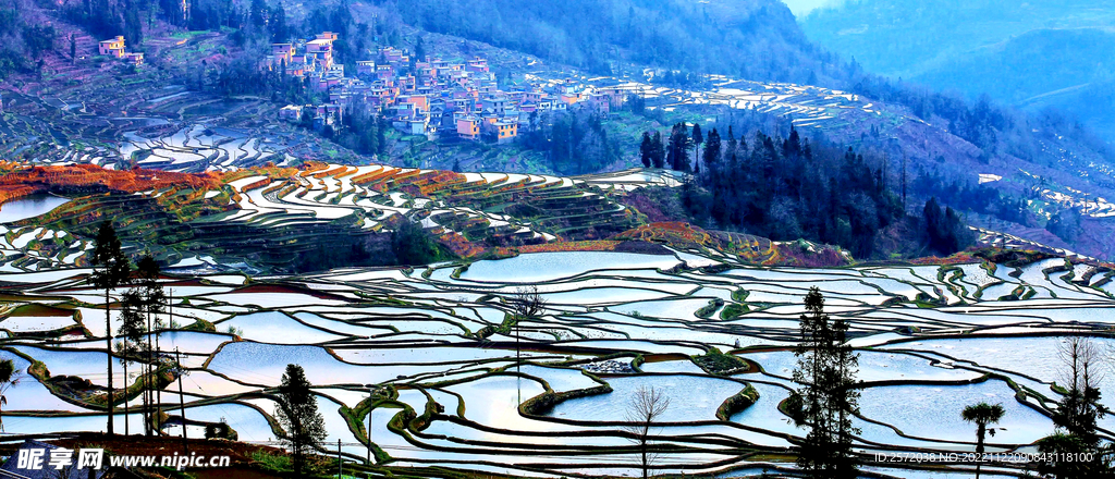 元阳哈尼梯田风光