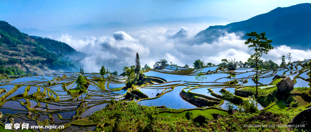 元阳哈尼梯田风光