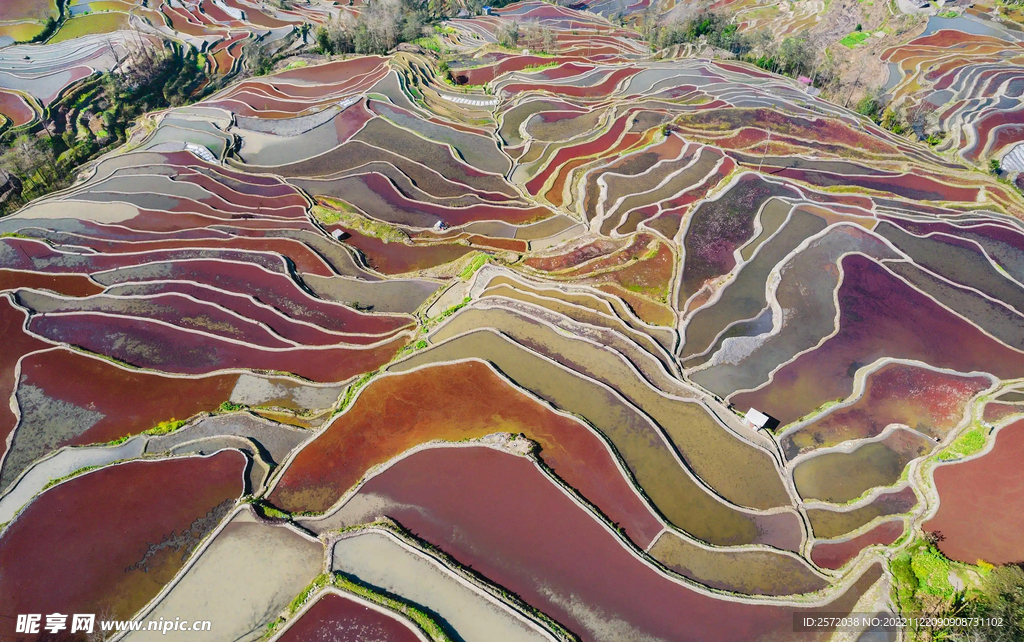 元阳哈尼梯田风光