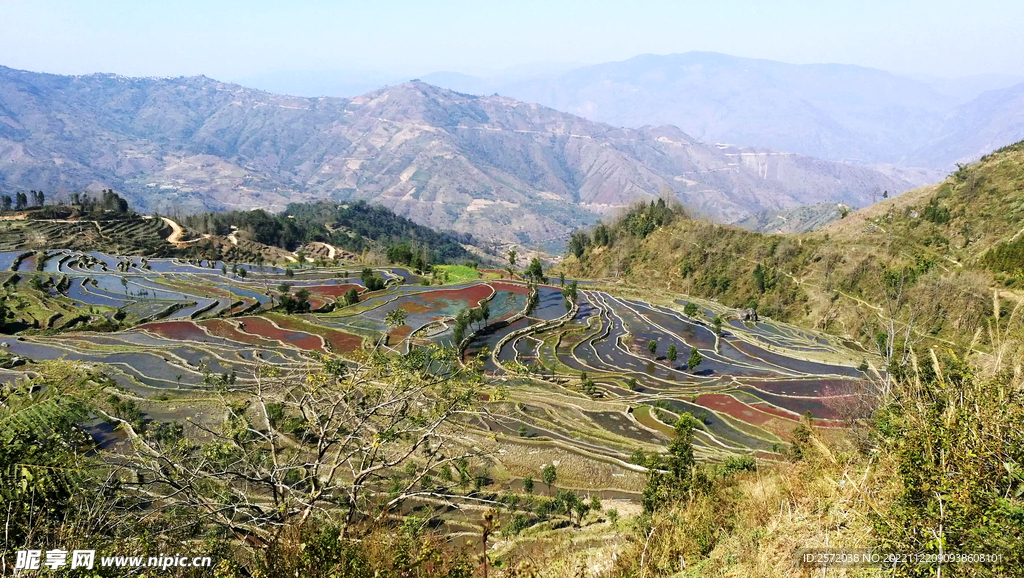 元阳哈尼梯田风光