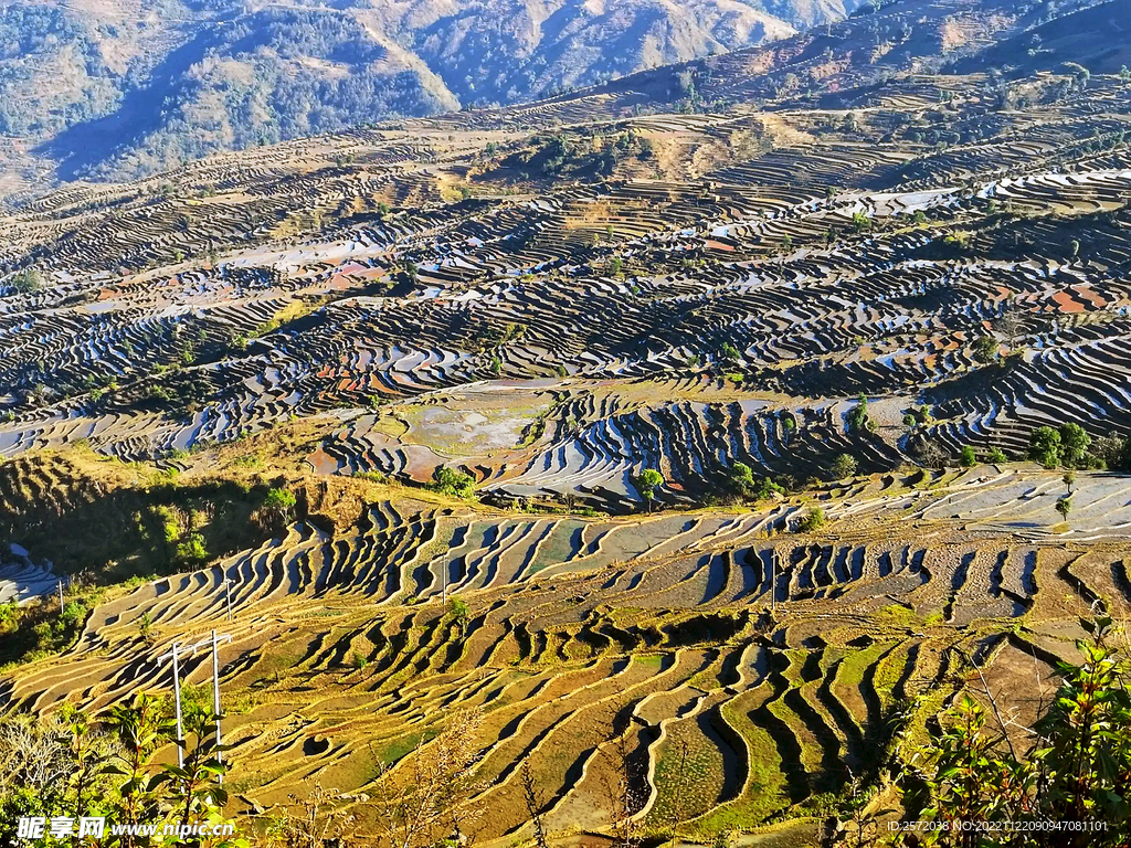 元阳哈尼梯田风光