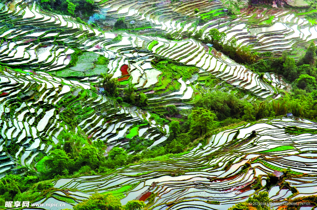 元阳哈尼梯田风光