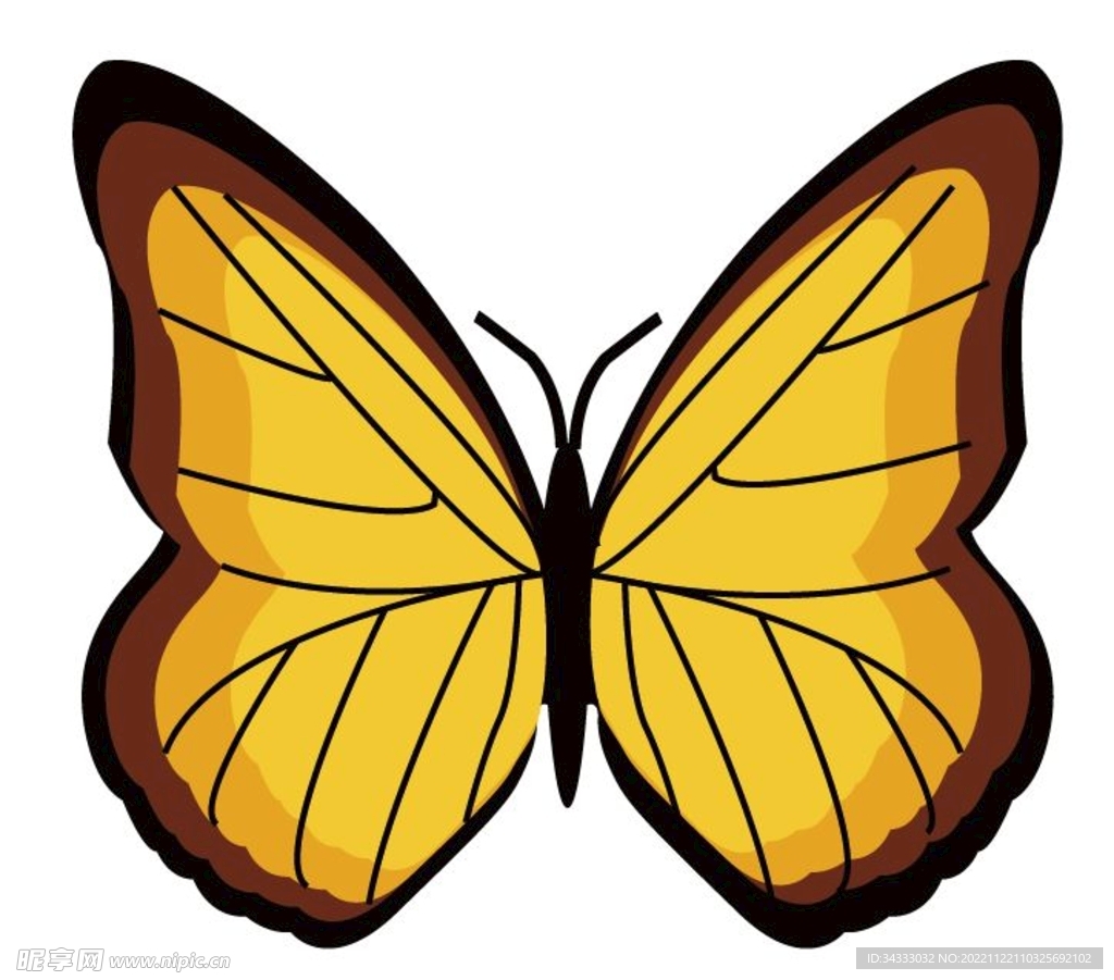 蝴蝶矢量图高清