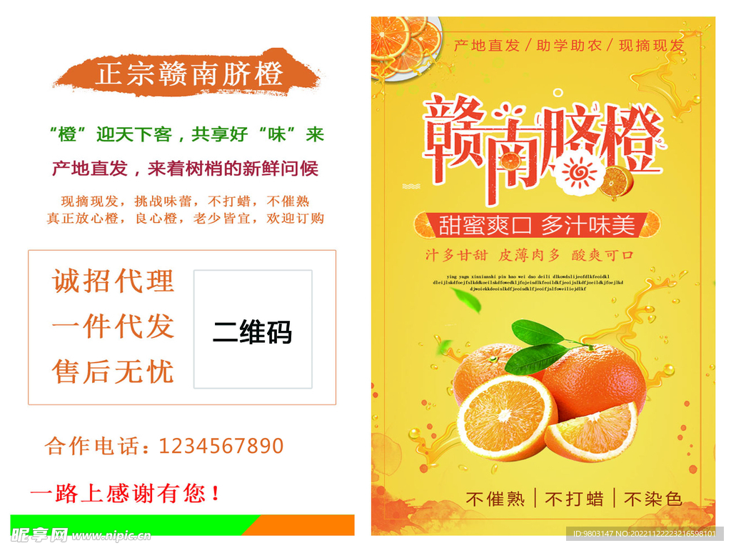 赣南脐橙名片卡片