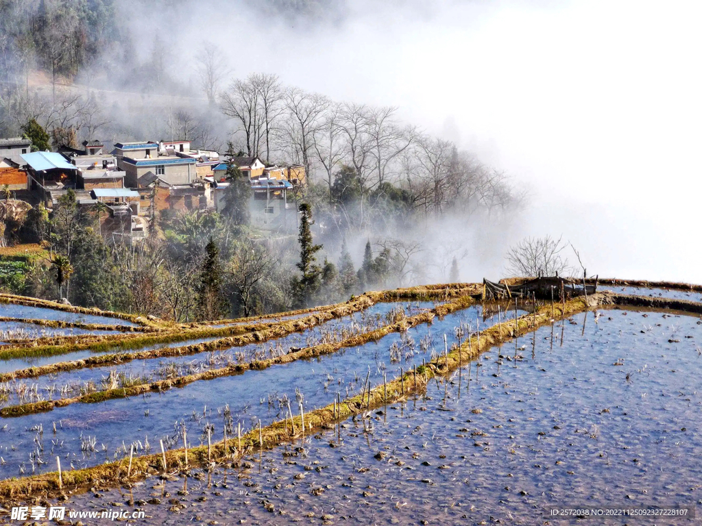 元阳哈尼梯田风光