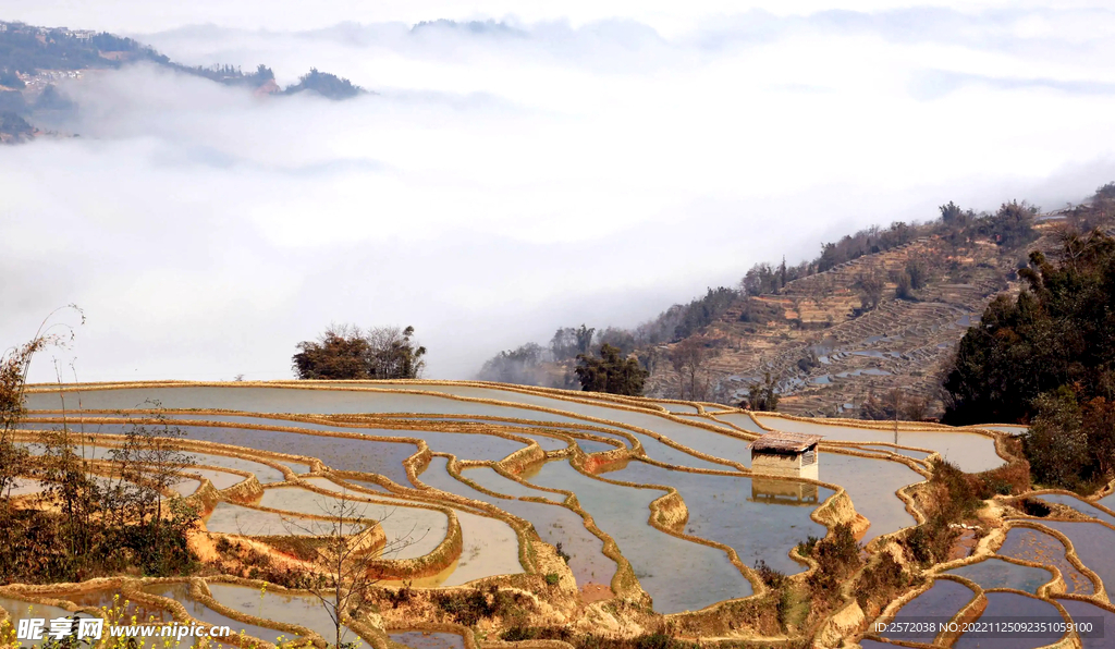 元阳哈尼梯田风光