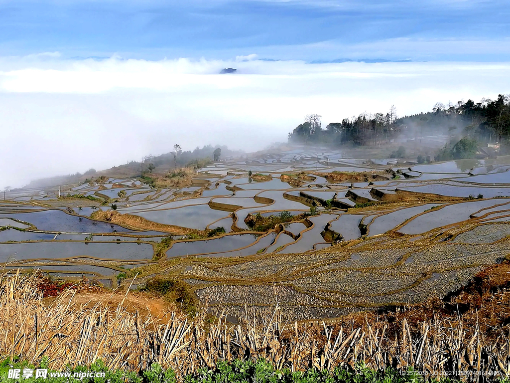 元阳哈尼梯田风光