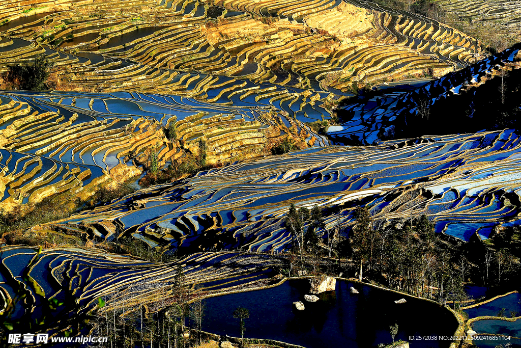 元阳哈尼梯田风光