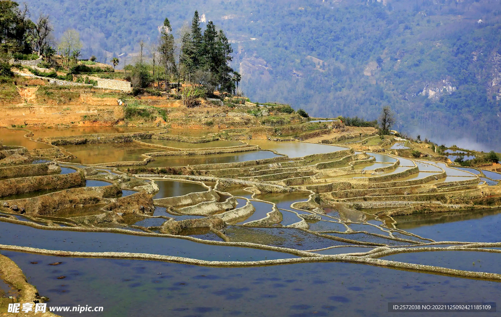 元阳哈尼梯田风光