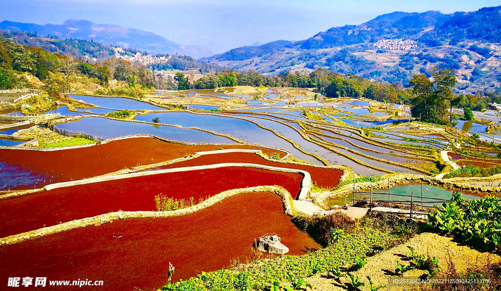 元阳哈尼梯田风光