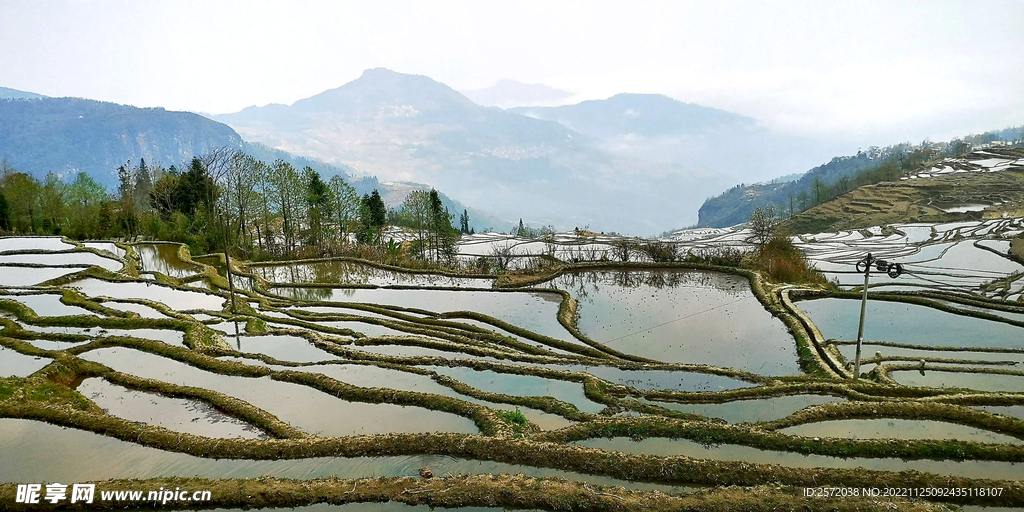元阳哈尼梯田风光