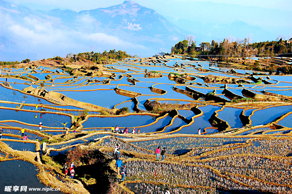 元阳哈尼梯田风光