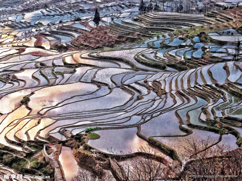 元阳哈尼梯田风光