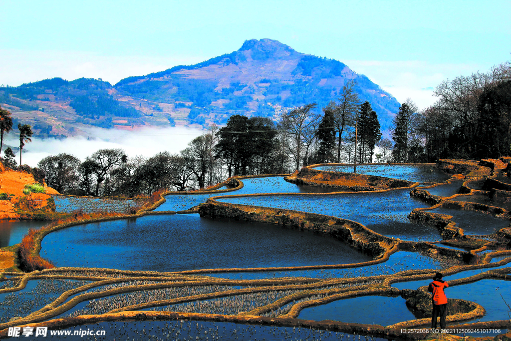 元阳哈尼梯田风光