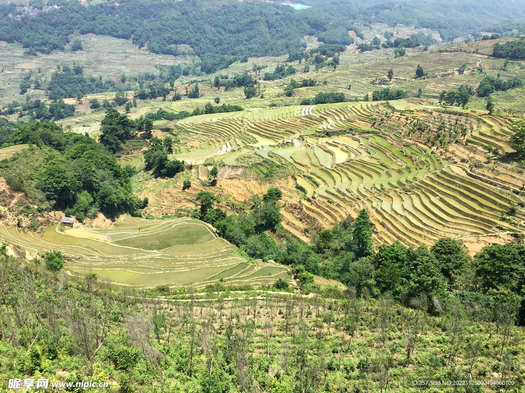元阳哈尼梯田风光