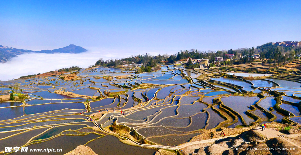 元阳哈尼梯田风光