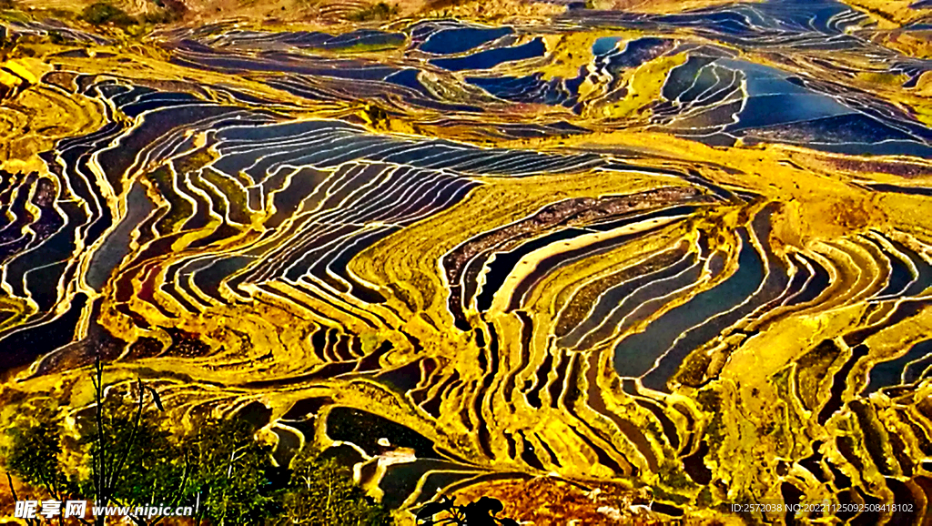 元阳哈尼梯田风光