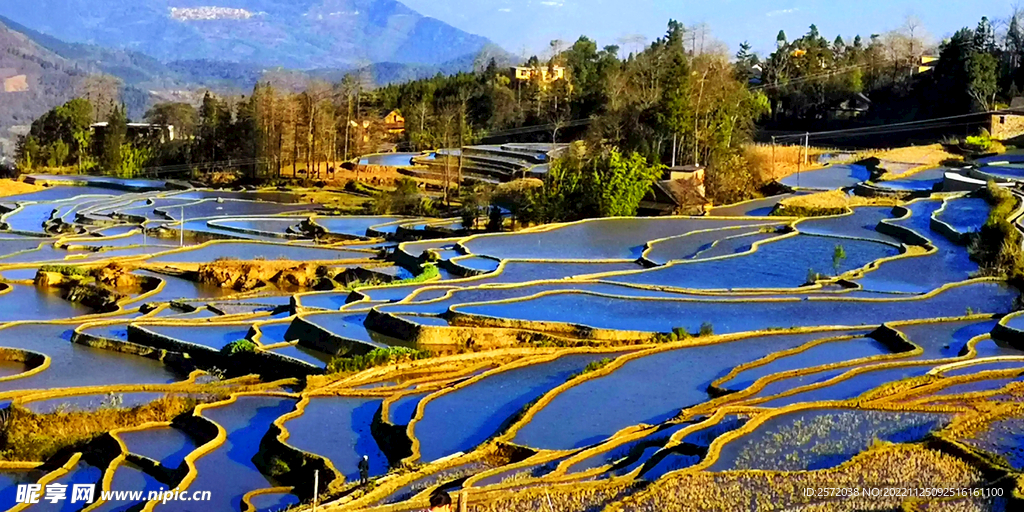 元阳哈尼梯田风光