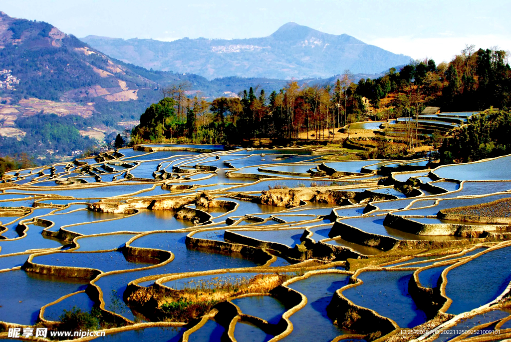 元阳哈尼梯田风光