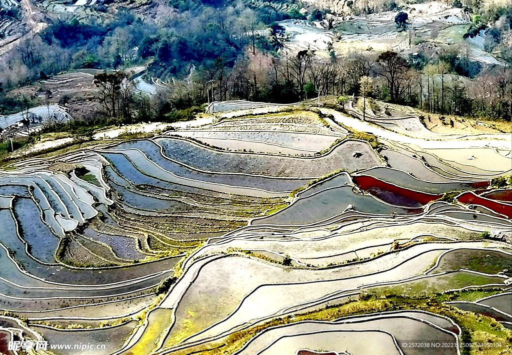 元阳哈尼梯田风光