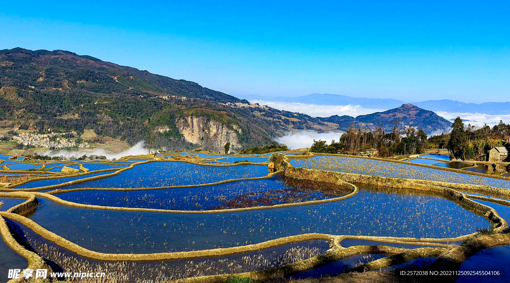 元阳哈尼梯田风光