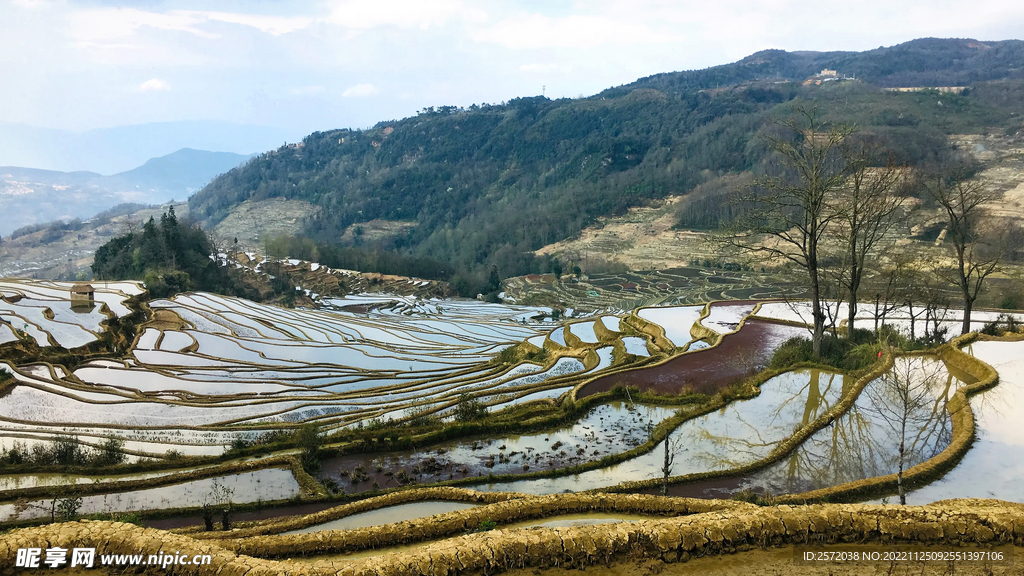 元阳哈尼梯田风光