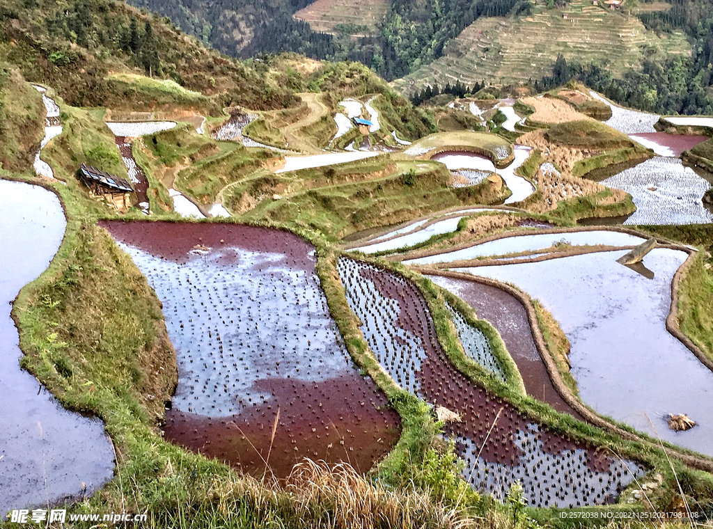 从江加榜梯田风光