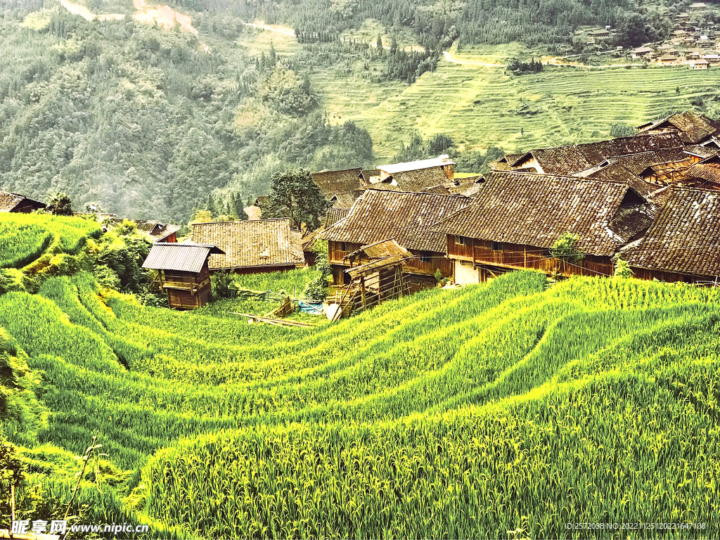 从江加榜梯田风光