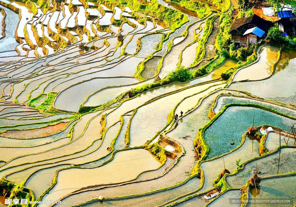 从江加榜梯田风光