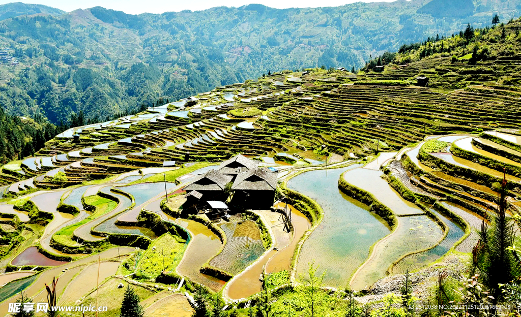 从江加榜梯田风光