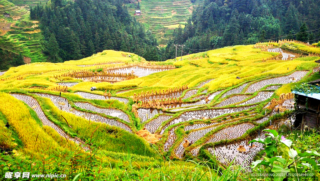 从江加榜梯田风光