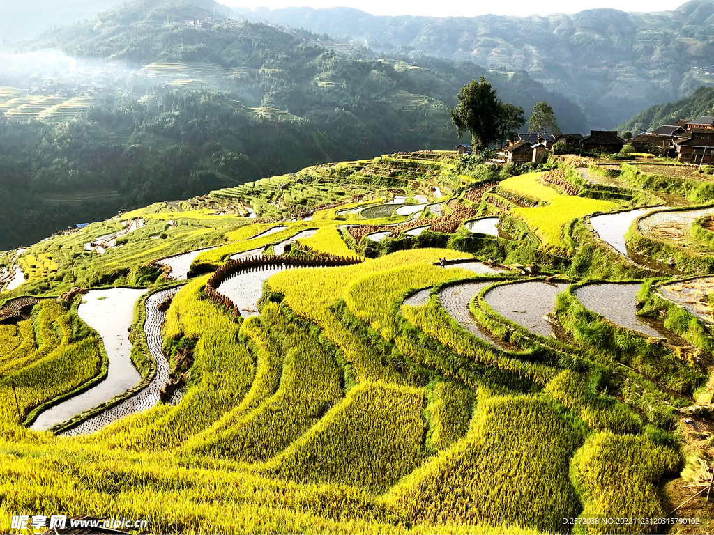 从江加榜梯田风光