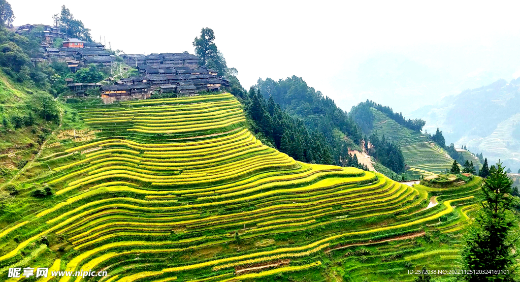 从江加榜梯田风光