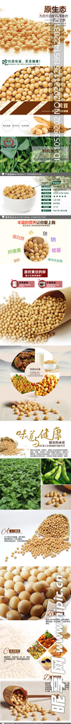 黄豆详情页