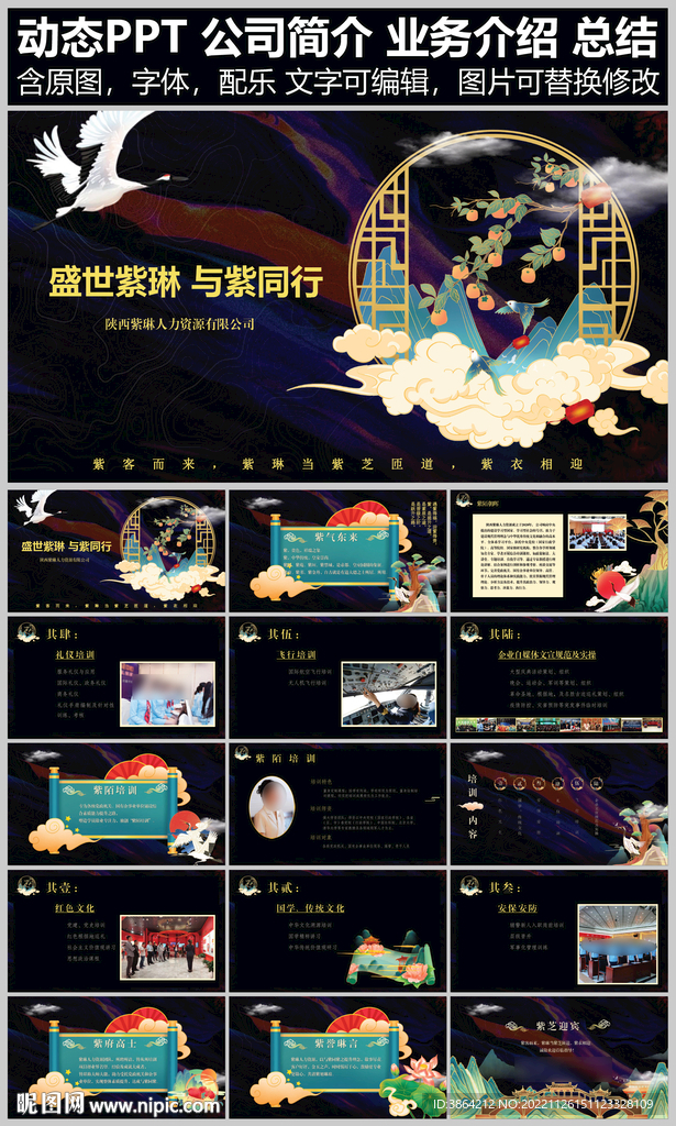 国潮公司简介PPT