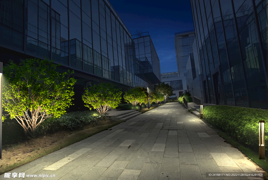 公园小道夜景效果图