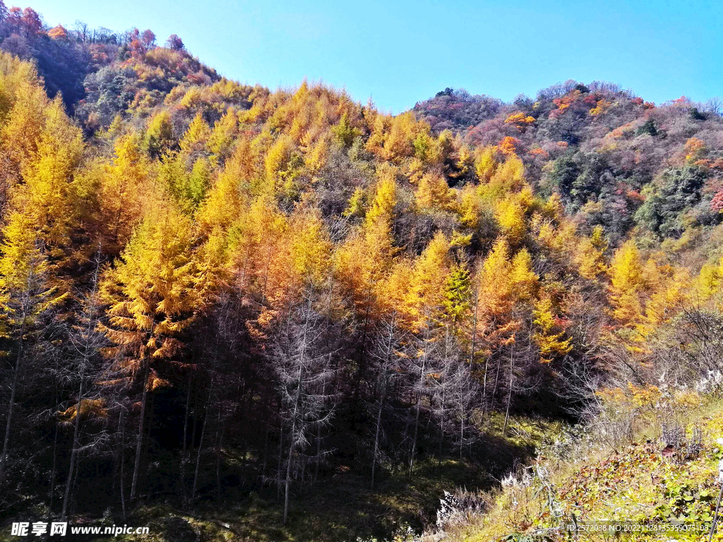 巴中光雾山风光