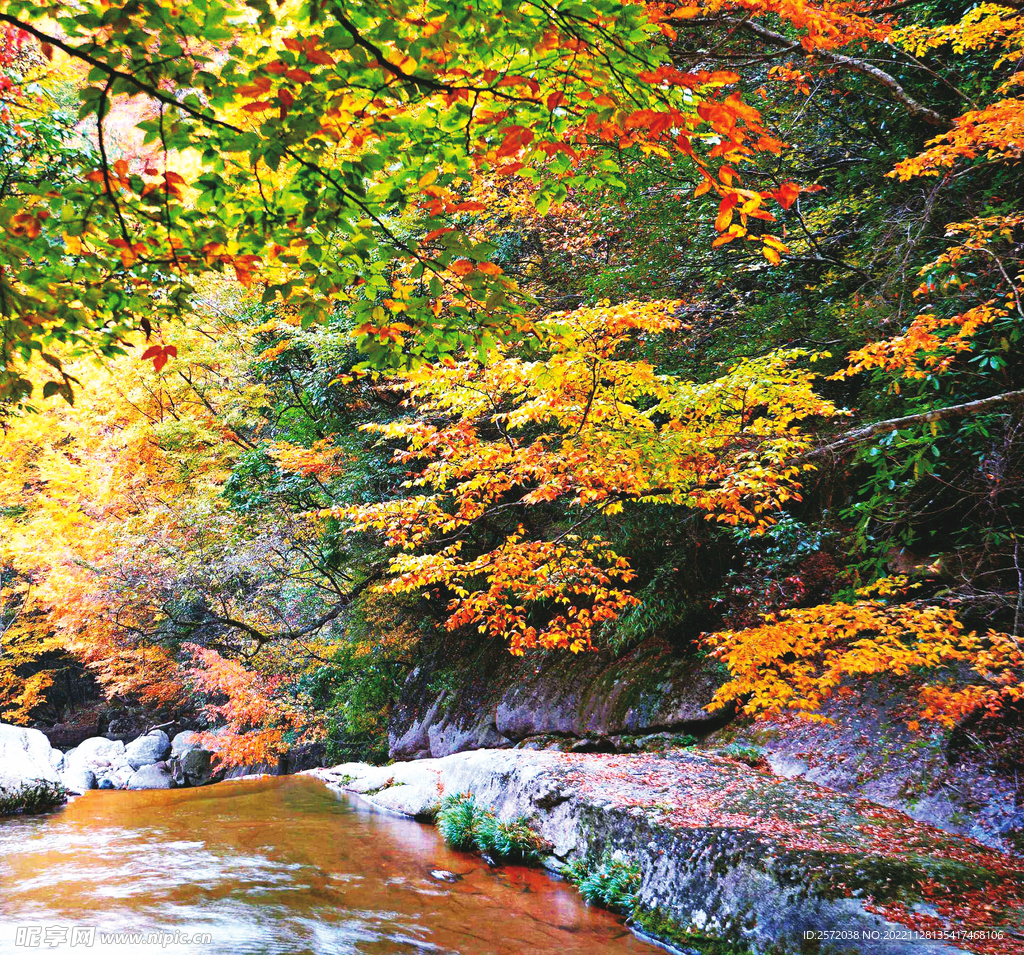巴中光雾山风光