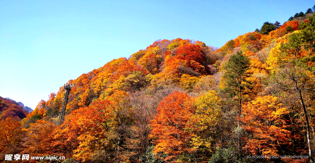 巴中光雾山风光