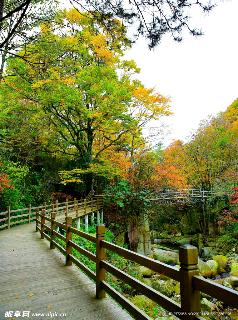 巴中光雾山风光