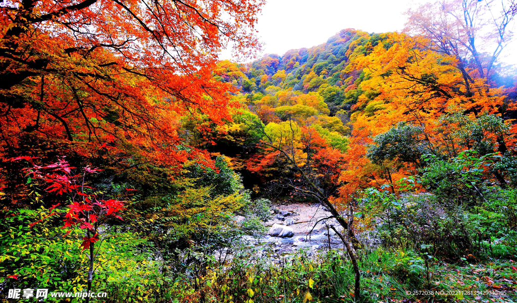 巴中光雾山风光