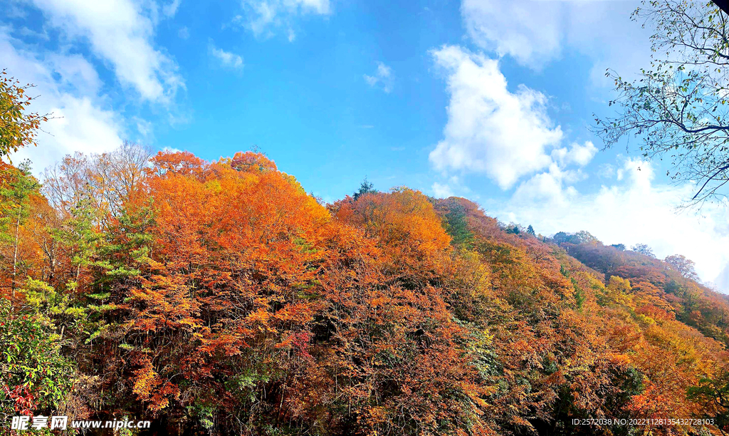 巴中光雾山风光