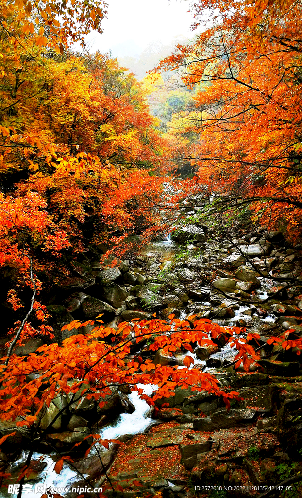 巴中光雾山风光