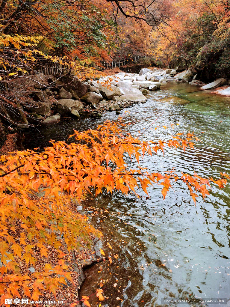巴中光雾山风光